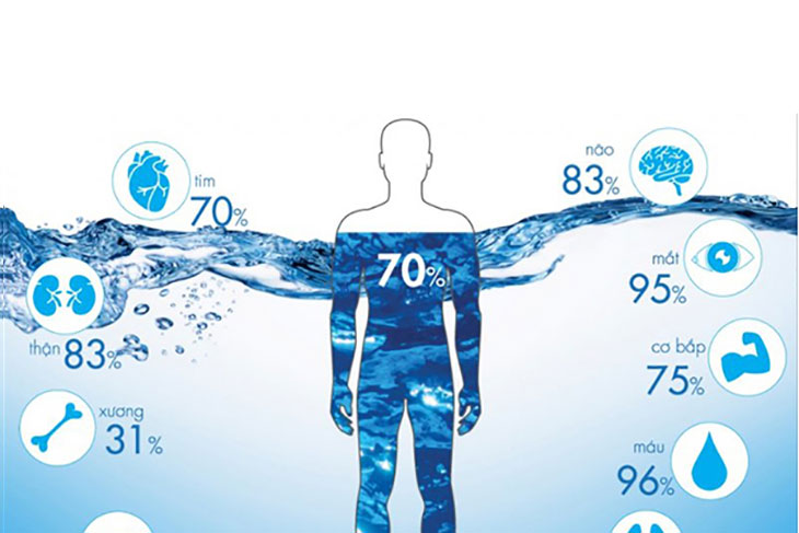 Tầm quan trọng của nước đối với cơ thể của con người