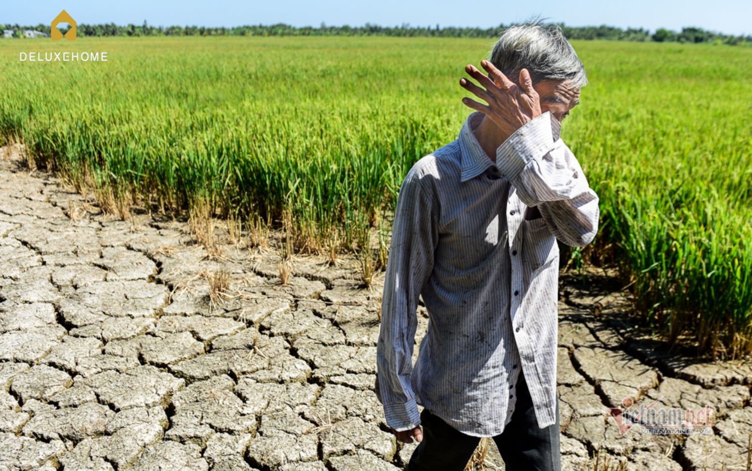 Thực trạng thiếu nước sạch ở Việt Nam hiện nay - Ảnh 2