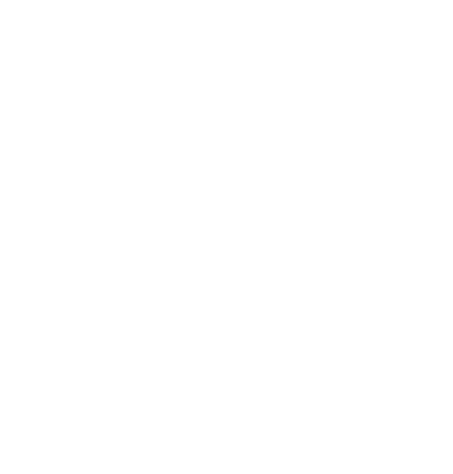 logo DeluxeHome