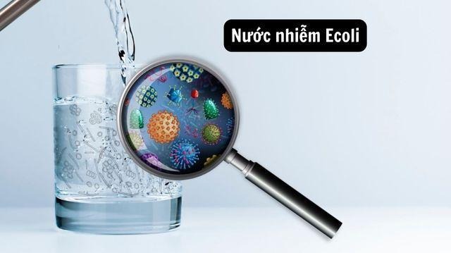 Nước nhiễm E.coli có nguy hiểm không? Nguyên nhân và giải pháp xử lý - Ảnh 1
