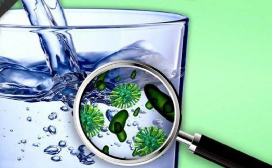 Nước nhiễm E.coli có nguy hiểm không? Nguyên nhân và giải pháp xử lý - Ảnh 2