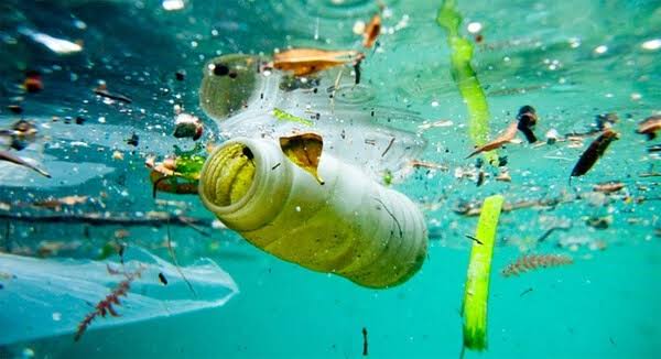 Nước nhiễm vi sinh có nguy hiểm không? 8 dấu hiệu cảnh báo và cách xử lý hiệu quả - Ảnh 1